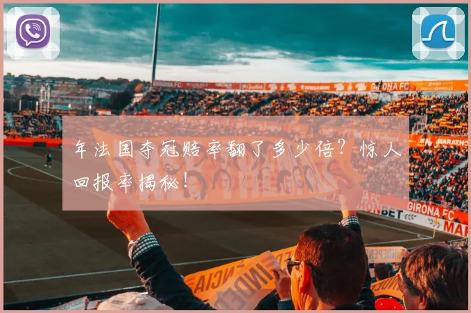 年法国夺冠赔率翻了多少倍？惊人回报率揭秘！