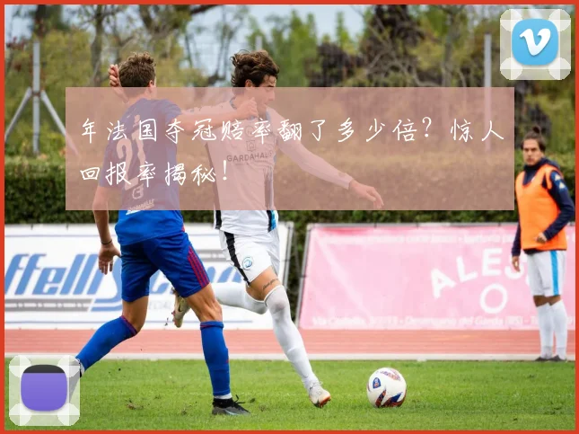 年法国夺冠赔率翻了多少倍？惊人回报率揭秘！